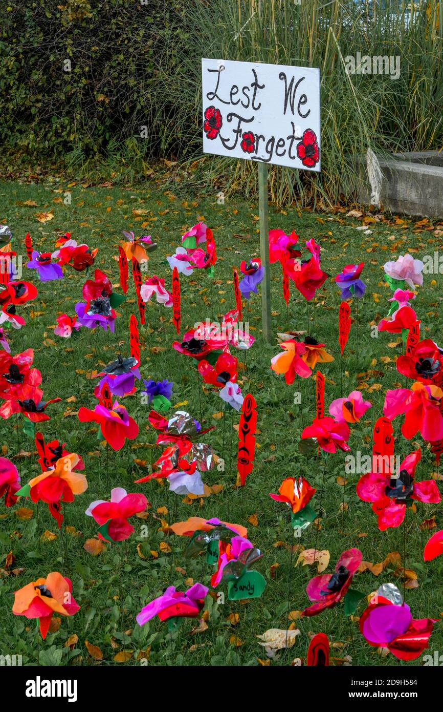 Shaughnessy Elementary School Mohn und Feder Installation, zu Ehren Veteranen, Vancouver City Hall, Vancouver, British Columbia, Kanada Stockfoto