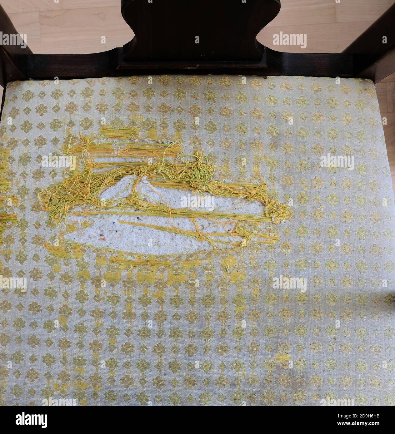 Ausgefranster Polsterstoff auf einem Esszimmerstuhl; alltäglicher Verschleiß an Möbeln; abgenutzter und zerrissener Stoff, der umpolstert werden muss. Stockfoto