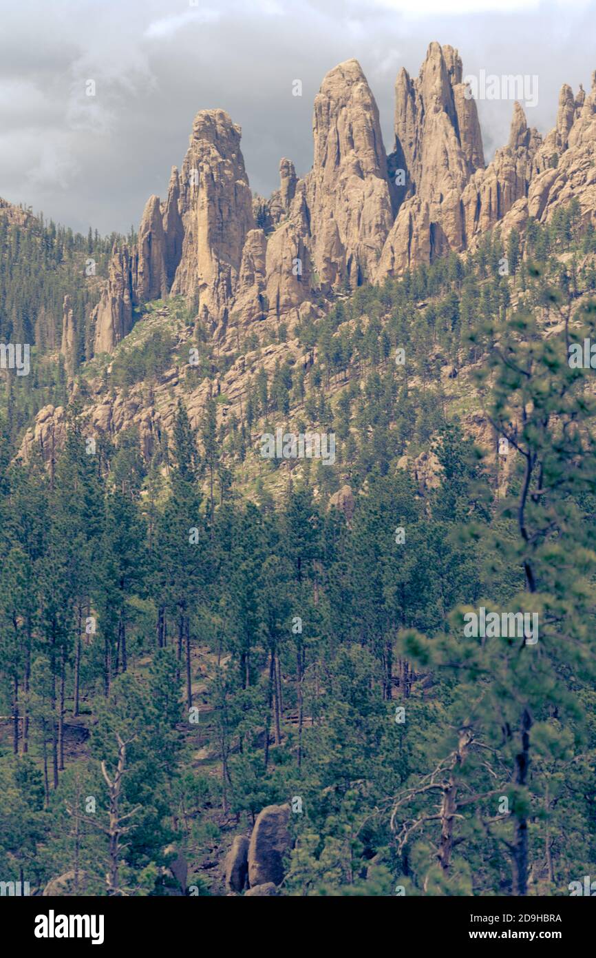 Wunderschöne Felsformationen von Turmspitzen im Custer State Park entlang der Needles Highway South Dakota Stockfoto