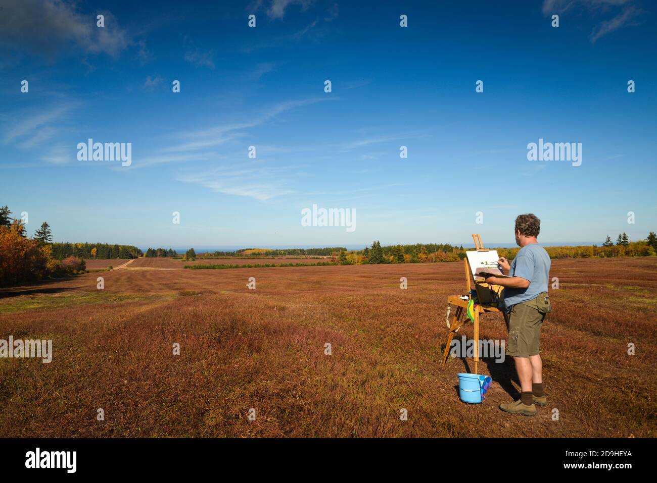 Plein Air Artist malt die Farben der Herbstlandschaft und der roten Blaubeerfelder am Nordufer von Prince Edward Island. Stockfoto