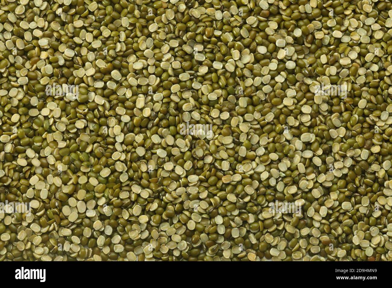 Split Mungbean Linsen auch bekannt als Mungbean, Green Moong Bean, Mung Gram, Vigna Radiata, Green Gram, Golden Gram Hülsenfrüchte, Moong Bean, Moong Dal Stockfoto