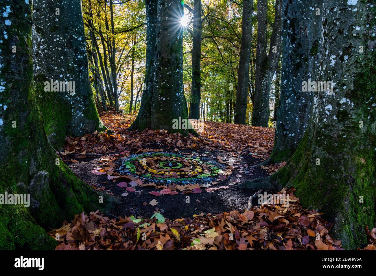 Im Herbstwald haben Kinder einen bunten Kreis mit Blättern, Steinen und Rinde gemacht. Ein Kunstwerk, von der Sonne durch die Bäume angeleuchtet. Stern Stockfoto