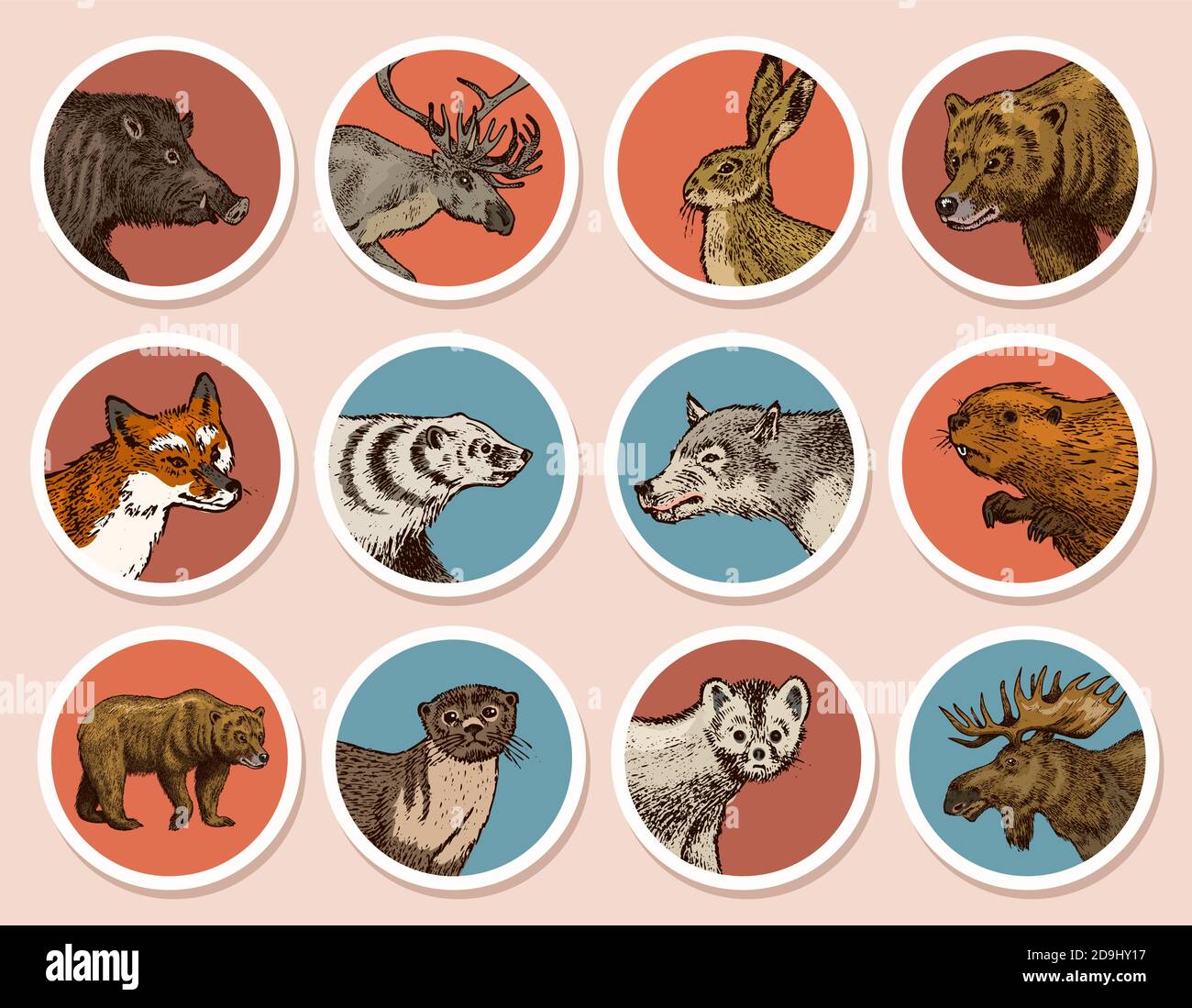 Wild Animals Aufkleber im Vintage Stil. Waldhirsch Biber Elch Wolf Bär Fuchs Marder Dachs Wildschwein Hase. Monochromes Retro-Abzeichen oder -Etikett. Nord Stock Vektor
