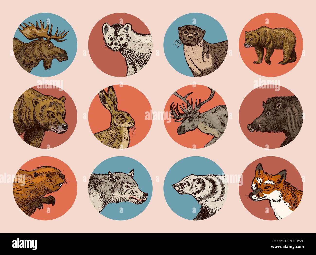 Wild Animals Aufkleber im Vintage Stil. Waldhirsch Biber Elch Wolf Bär Fuchs Marder Dachs Wildschwein Hase. Monochromes Retro-Abzeichen oder -Etikett. Nord Stock Vektor