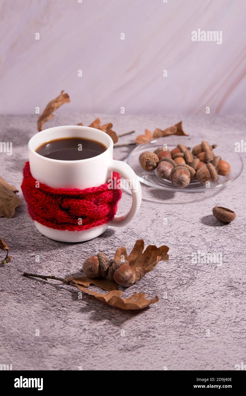 Acorn Coffee Cup mit Eicheln auf einem konkreten Hintergrund. Kuschelige Herbst Bild-eine Tasse in einem Strickschal. Ein Ersatz für Kaffee. Speicherplatz kopieren Stockfoto