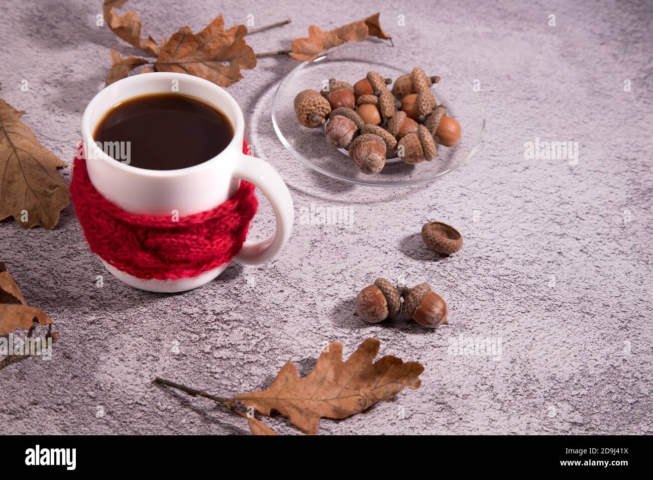 Acorn Coffee Cup mit Eicheln auf einem konkreten Hintergrund. Kuschelige Herbst Bild-eine Tasse in einem Strickschal. Ein Ersatz für Kaffee. Speicherplatz kopieren Stockfoto