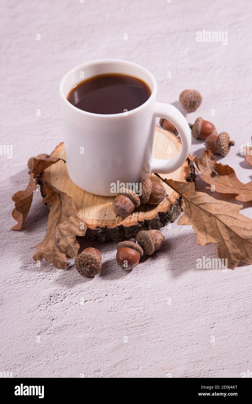 Eine Tasse Eichelkaffee auf einer Holzscheibe mit Eicheln und  Eichenblättern. Kaffee-Ersatz, Nahaufnahme. Speicherplatz kopieren  Stockfotografie - Alamy