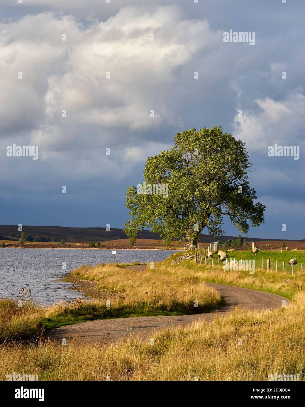 Einspurige Straße neben Lochindrob, Badenoch und Strathspey, Highland, Schottland. Stockfoto