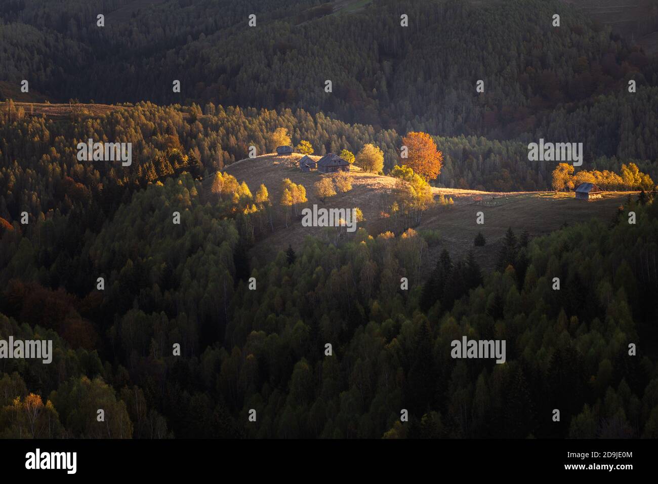 Herbst ländliche Szene des rumänischen Dorfes in Siebenbürgen, am Fuße der Karpaten Stockfoto