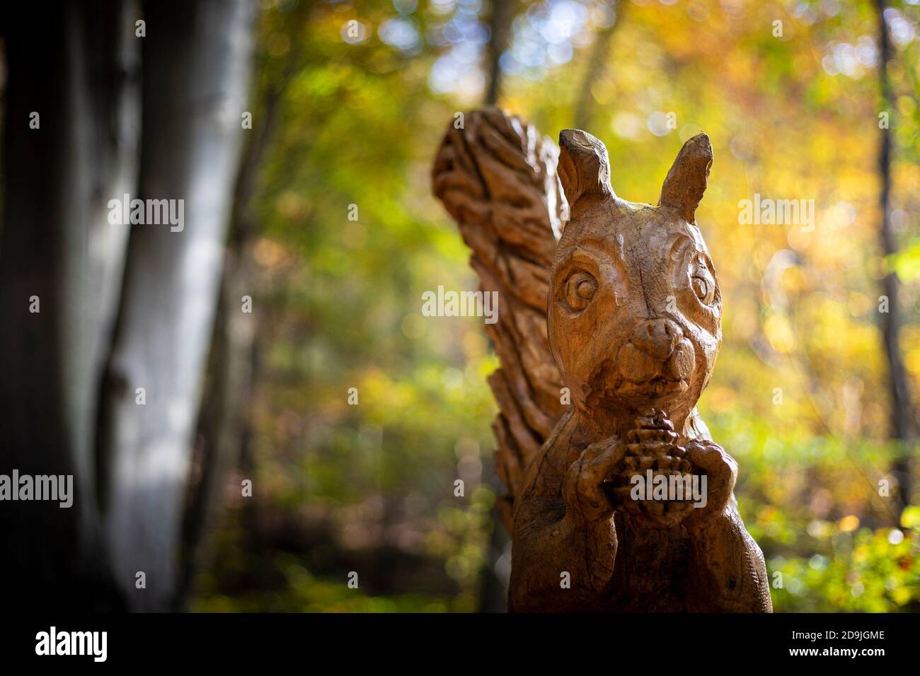 Eichhörnchen geschnitzte Holzskulptur des Künstlers Sergio Terni im "Sentiero delle sculture", im Park Campo dei Fiori, in der Nähe von Varese, Italien. Nahaufnahme. Stockfoto