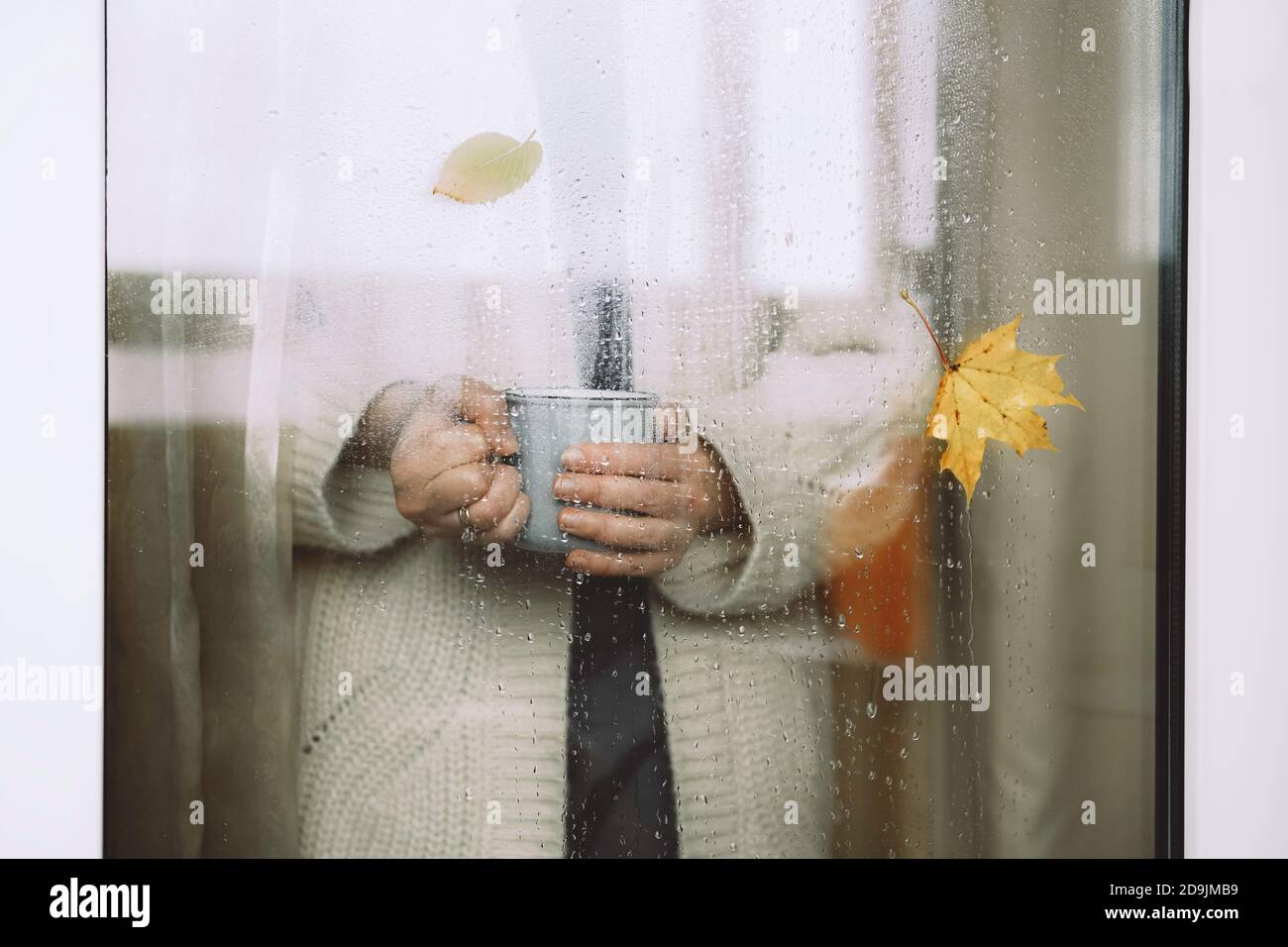 Frau in warmer Strickjacke mit einer Tasse Tee, die an einem regnerischen Herbsttag am Fenster steht. Stockfoto