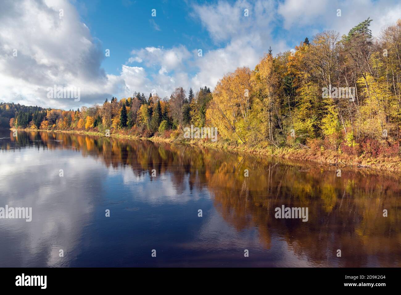 Landschaftsansicht des Flusses Gauja mit spiegelenden Bäumen in Sugulda, Lettland während des goldenen Herbstes Stockfoto