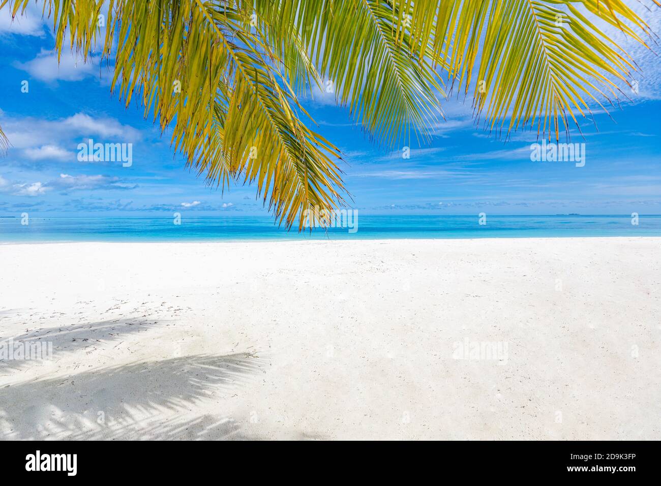Palmen und tropischer Strand, friedliche ruhige Naturlandschaft. Seascape, weißer Sand am Meer unter blauem Himmel. Tolle Sommerlandschaft Stockfoto