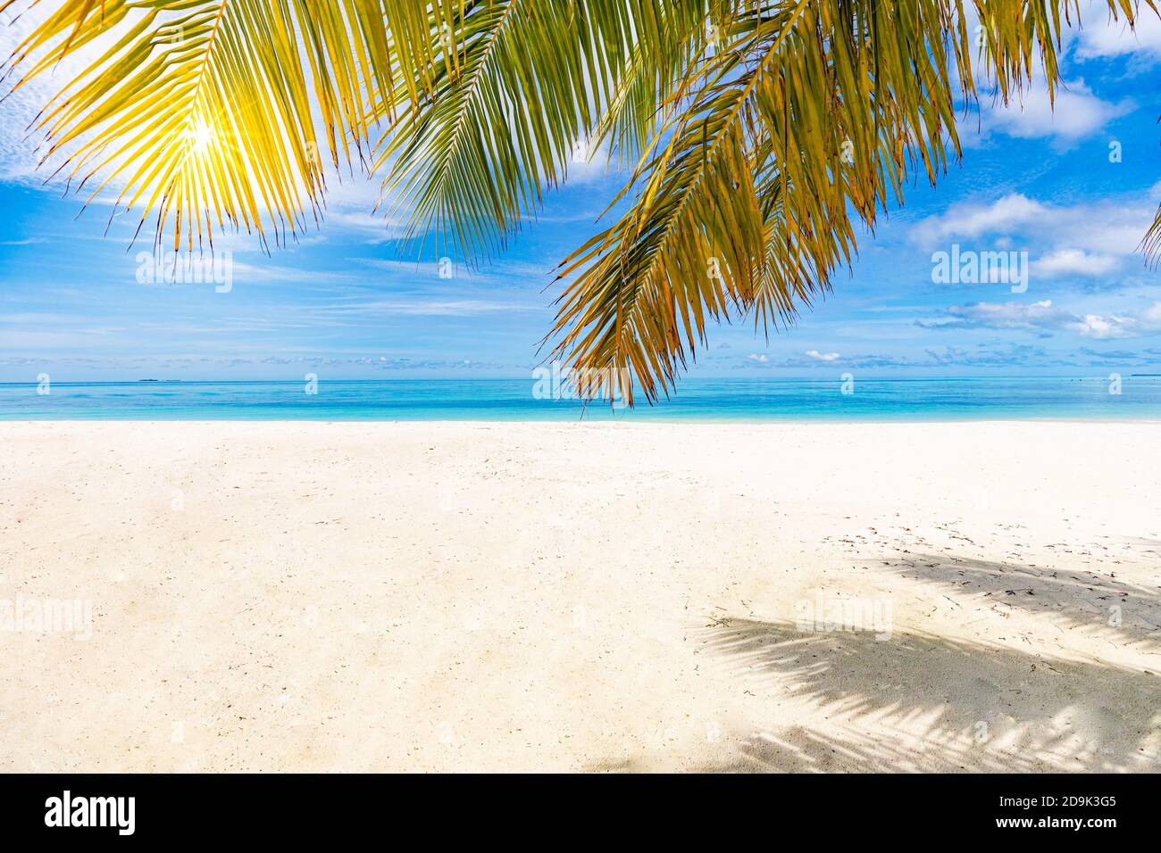 Palmen und tropischer Strand, friedliche ruhige Naturlandschaft. Seascape, weißer Sand am Meer unter blauem Himmel. Tolle Sommerlandschaft Stockfoto