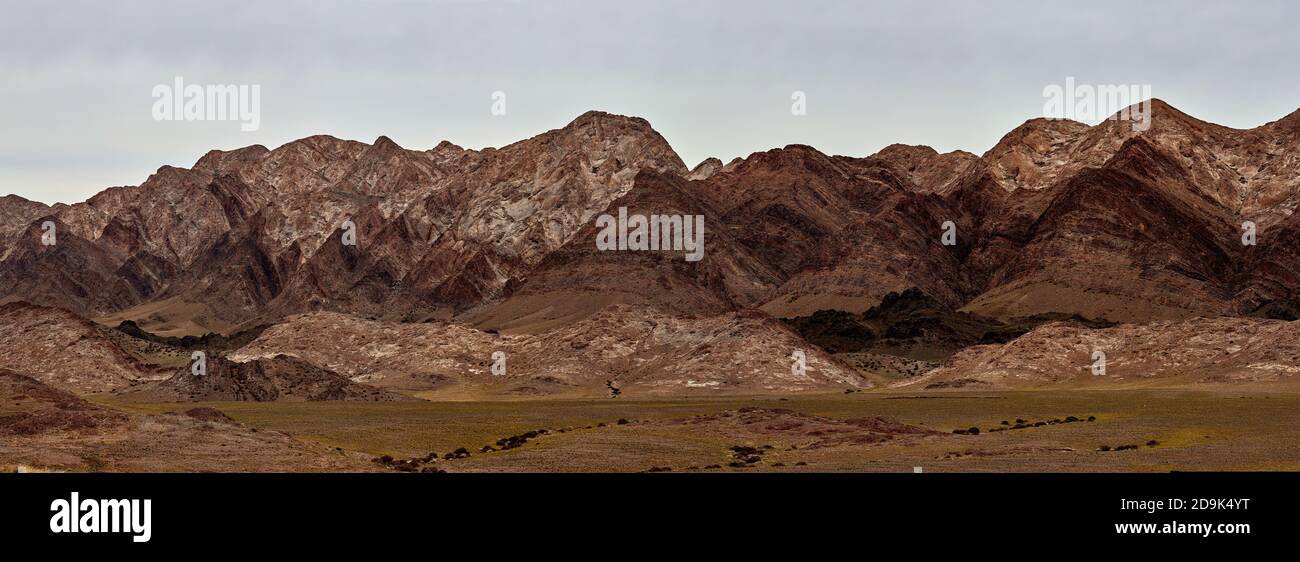 Weide in den Bergen der Mongolei. Landschaften der Mongolei, Bergpanorama in der Wüste Gobi. Stockfoto