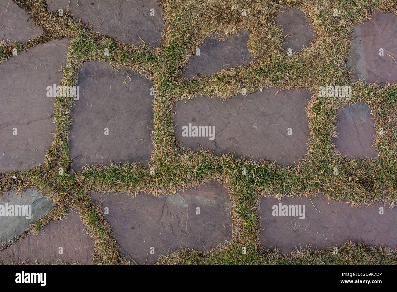 Gartenweg aus großen Steinen. Natursteinweg im Waldpark. Stockfoto