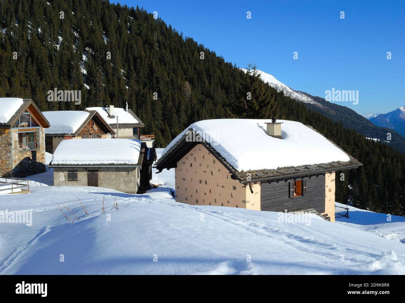 Häuser im Schnee in der Schweiz mit Wald im Hintergrund. Stockfoto