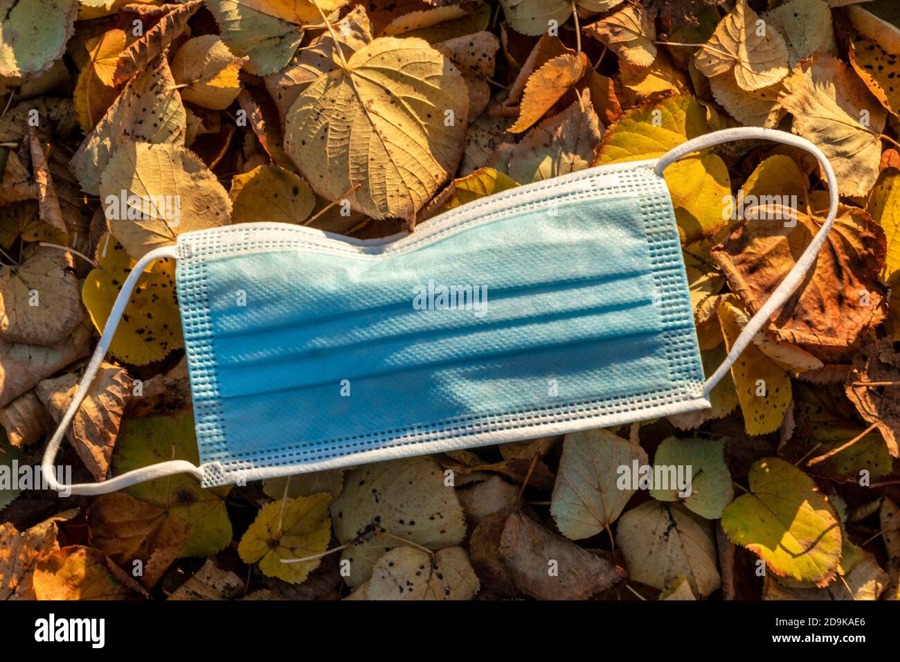 Mund-Nasen-Maske liegt im Herbstlaub, Corona-Pandemie, Berlin, verlorene Gesichtsmaske im Herbstlaub, Berlin Stockfoto