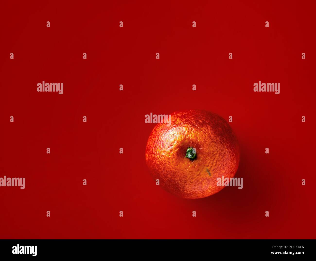 Leuchtend orange Kara-Kara auf rotem Hintergrund. Citrus sinensis Cara Cara Nabel orange Stockfoto