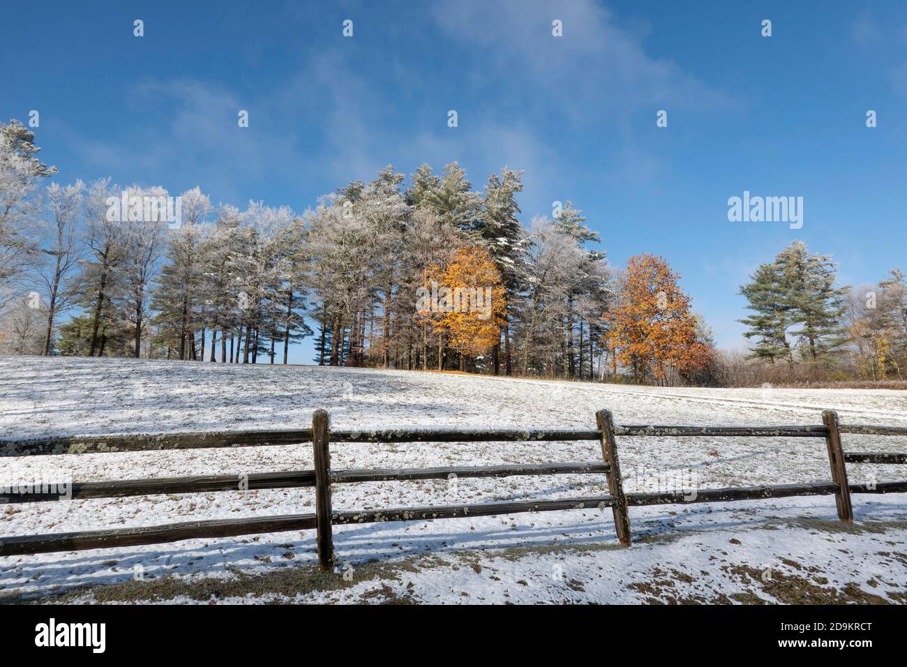 Walpole, New Hampshire, USA. 2020. Ein leichter Schneefall bedeckt ein Feld mit einem Hauch von Herbstblättern auf den Bäumen in New Hampshire. Stockfoto