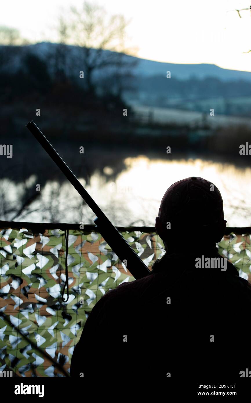 Wildfowling für Enten am Abend Stockfoto