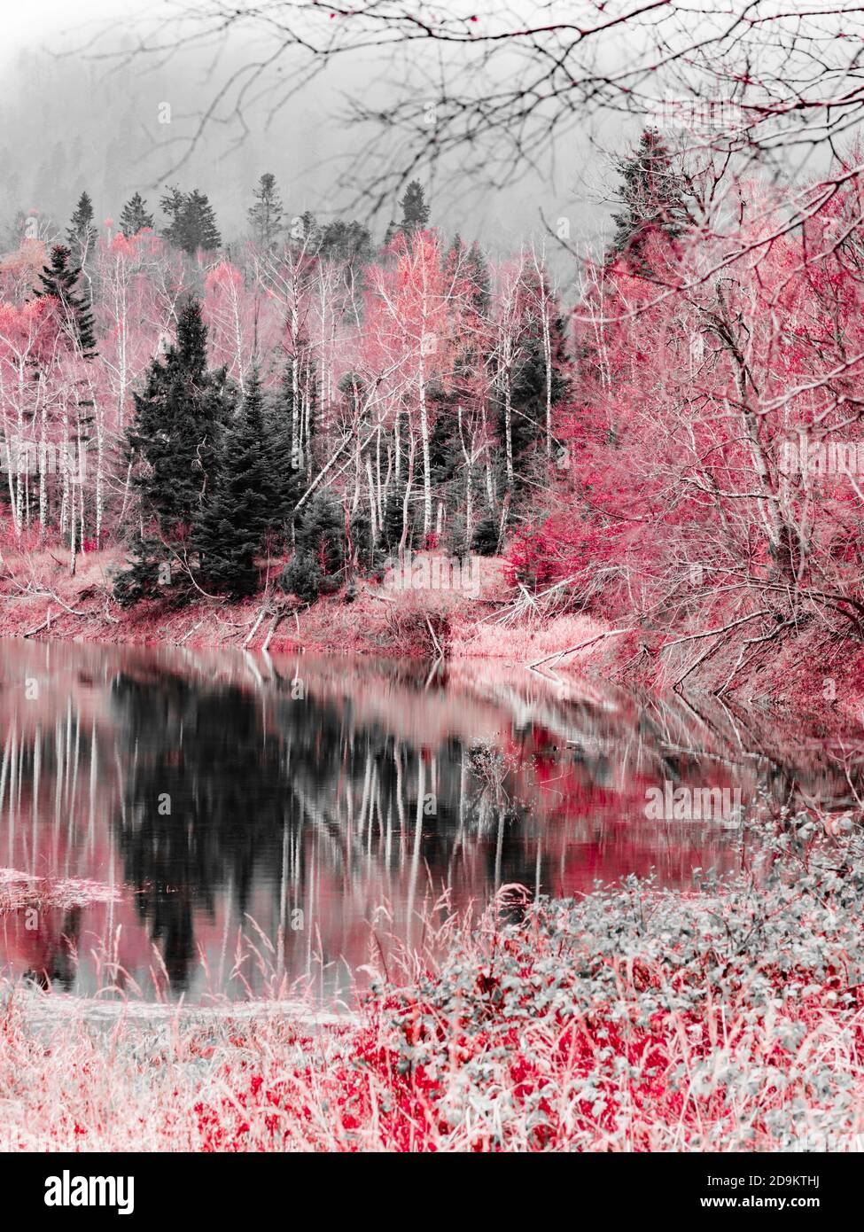 Atemberaubende Lokve See in Kroatien Europa monochrom verändert rote Farbe Stockfoto