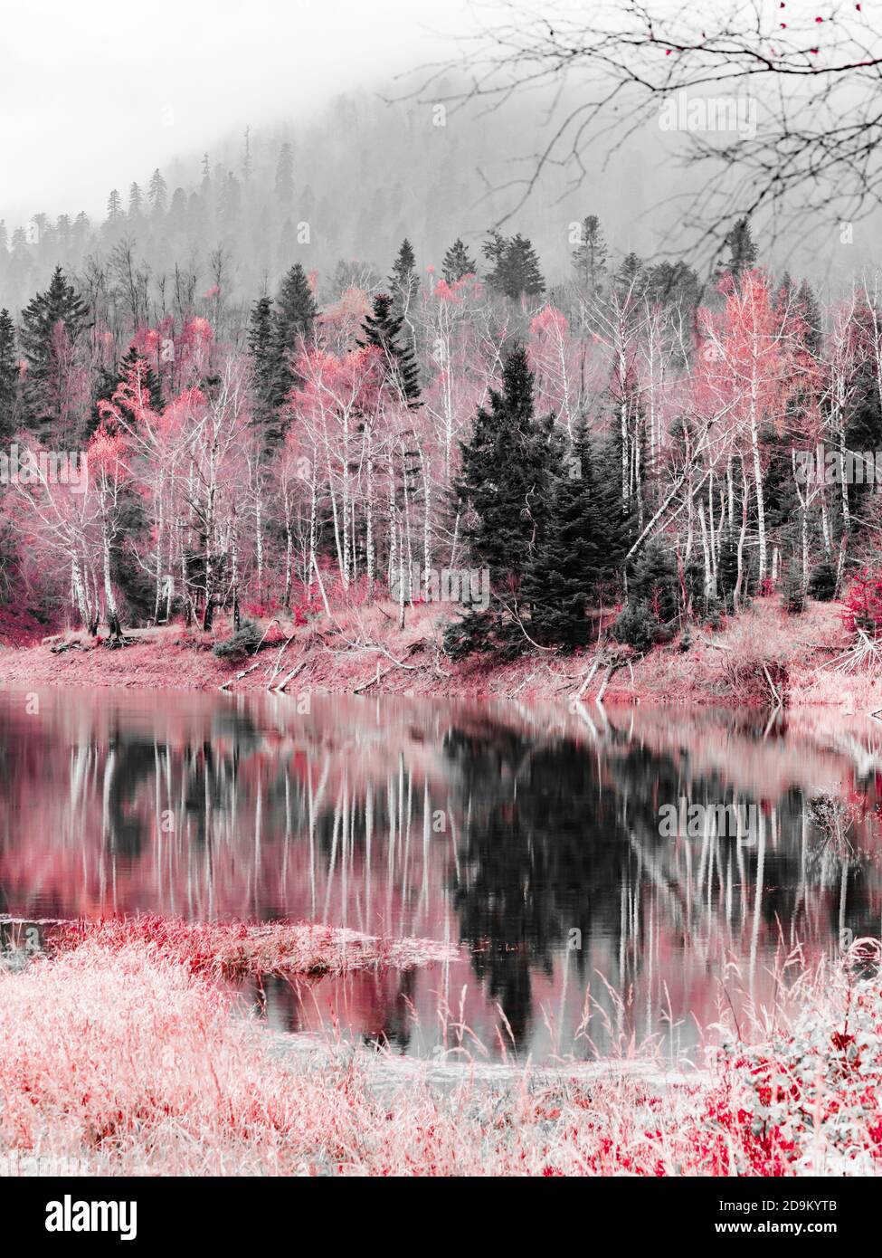 Atemberaubende Lokve See in Kroatien Europa monochrom verändert rote Farbe Stockfoto