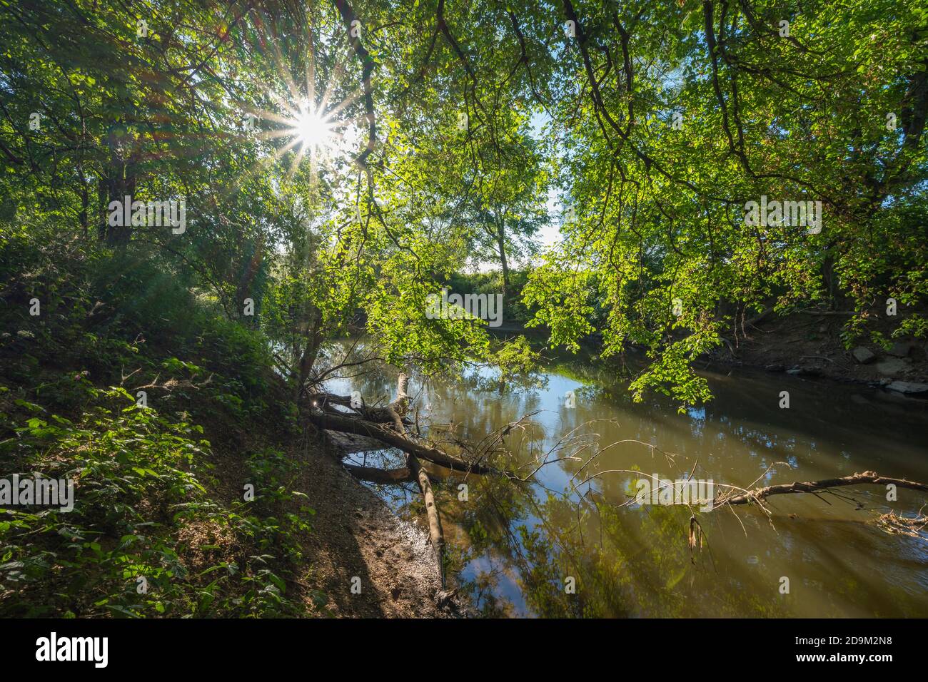 Fluss, Kinzig, Sonne, Frühling, Langenselbold, Hessen, Deutschland Stockfoto