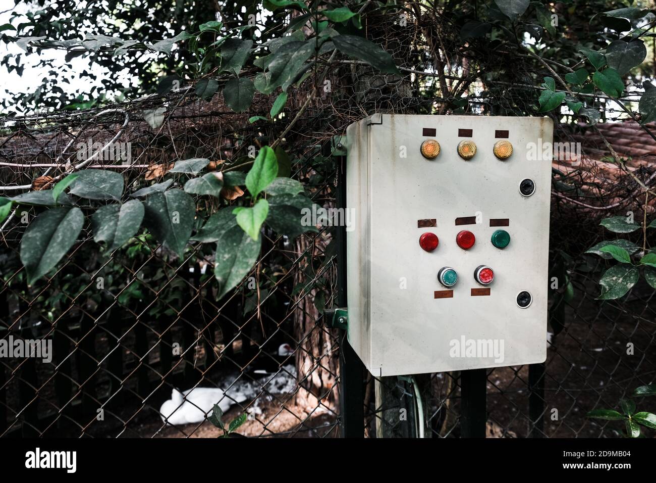 Belek, Türkei -Oktober 2020: Elektrische Bedienkonsole im zoologischen Garten. Hochspannungs-Transformatorkasten mit Knöpfen und Energieschalter. Betriebsstrom Stockfoto