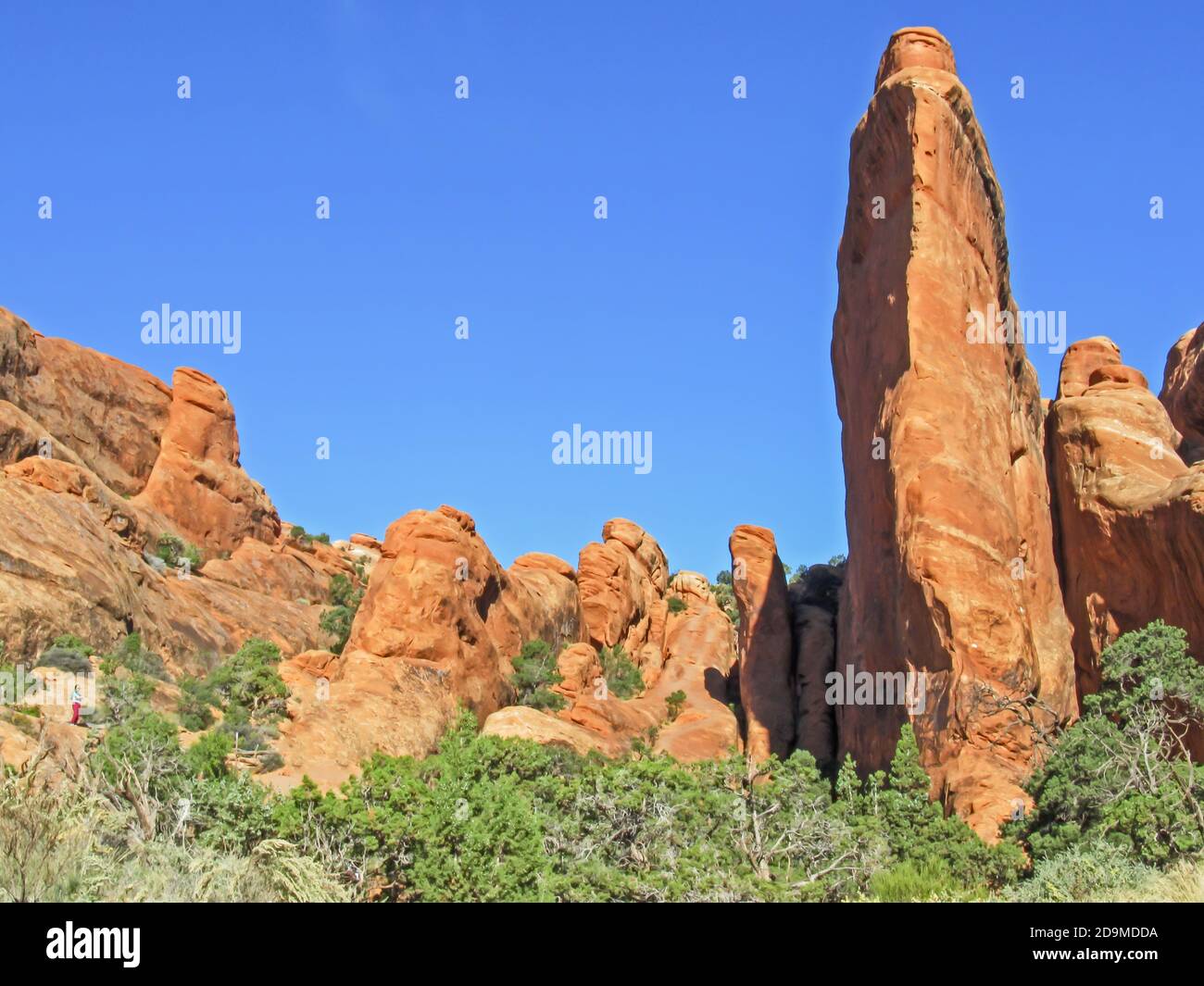 Große verwitterte Sandsteinflinten im Devils Garden Abschnitt des Archers National Park, Utah Stockfoto