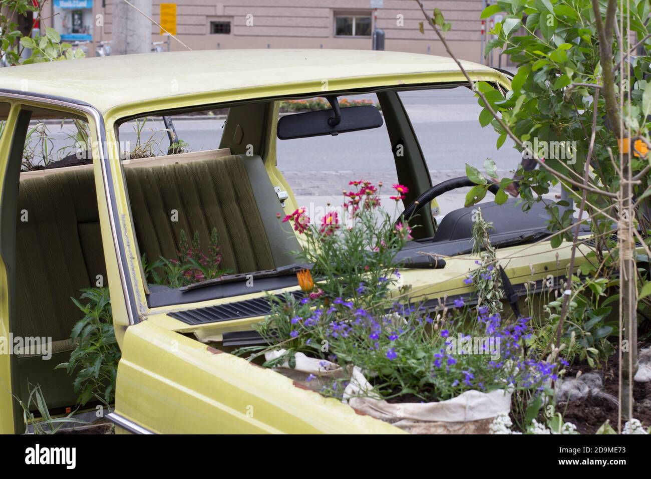 Urban Gardening, alte Autos, in denen es blüht und wächst. Stockfoto