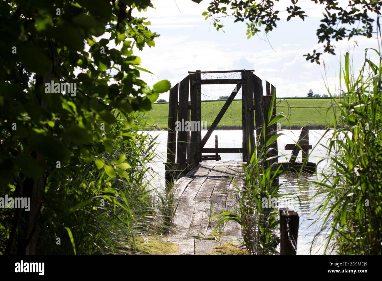 Überwucherter Steg an einem Teich. Stockfoto