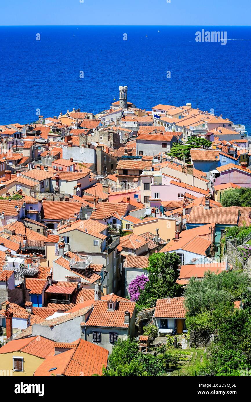 Piran, Istrien, Slowenien - Stadtübersicht, Blick über die Dächer der Hafenstadt am Mittelmeer. Stockfoto