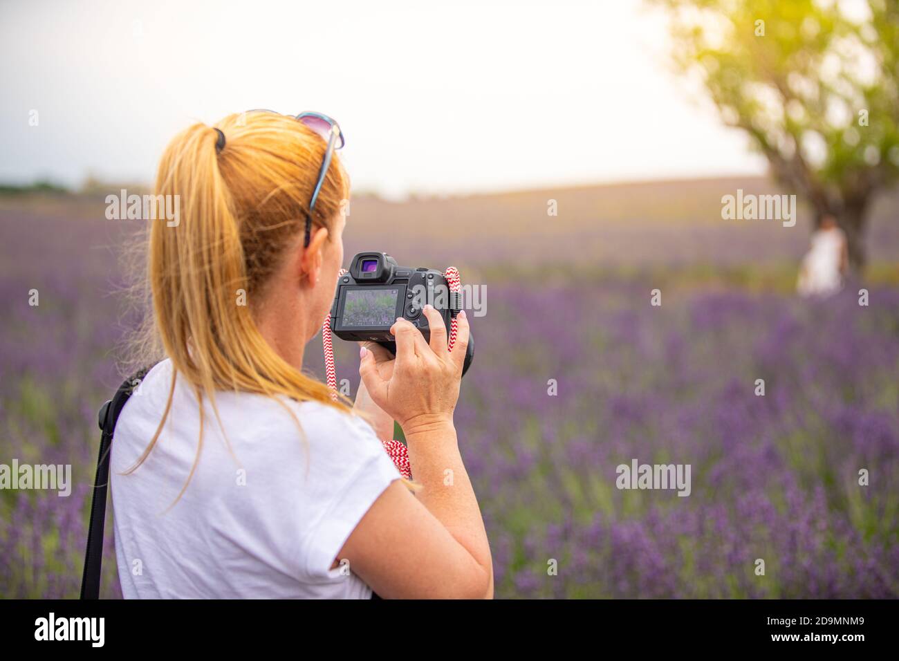 Frau mit Kamera auf dem Feld. Mädchen, das Foto im Feld der Lavendel Blumen. Idyllische Naturlandschaft, Reisefotograf Stockfoto