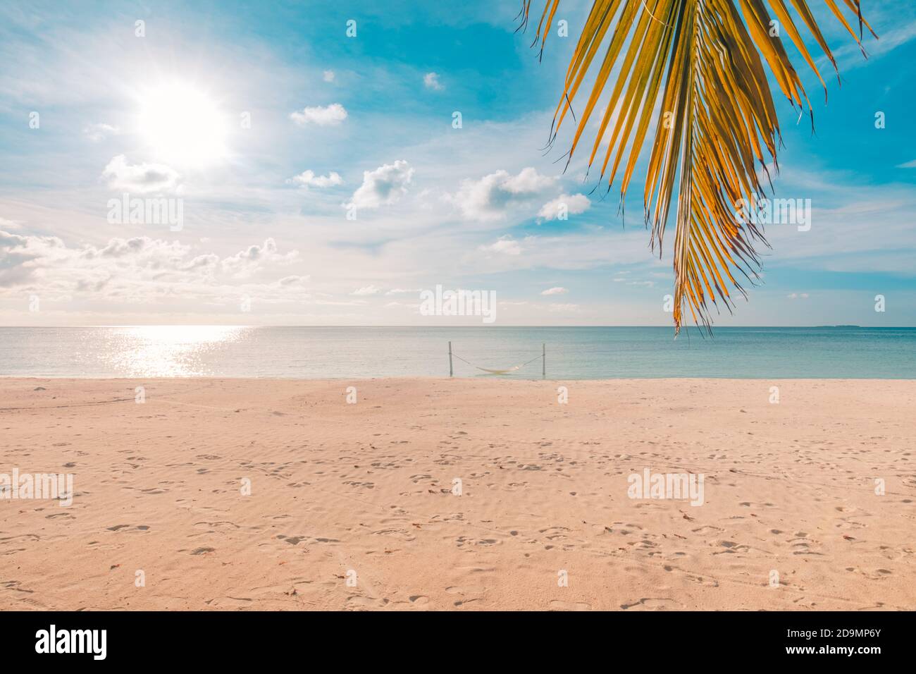 Schöner Sonnenuntergang über dem Meer mit Palmenblatt am tropischen Strand und blauer Himmel für Reisen im Urlaub entspannen Zeit. Sommer Strand Sonnenuntergang, Meer Stockfoto