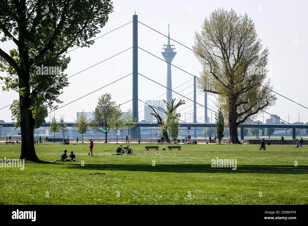 Düsseldorf, Nordrhein-Westfalen, Deutschland, Rheinpark Golzheim in Zeiten der Coronapandemie ohne Kontakt, hinten Oberkasseler Brücke, Rheinkniebrücke und Rheinturm. Stockfoto