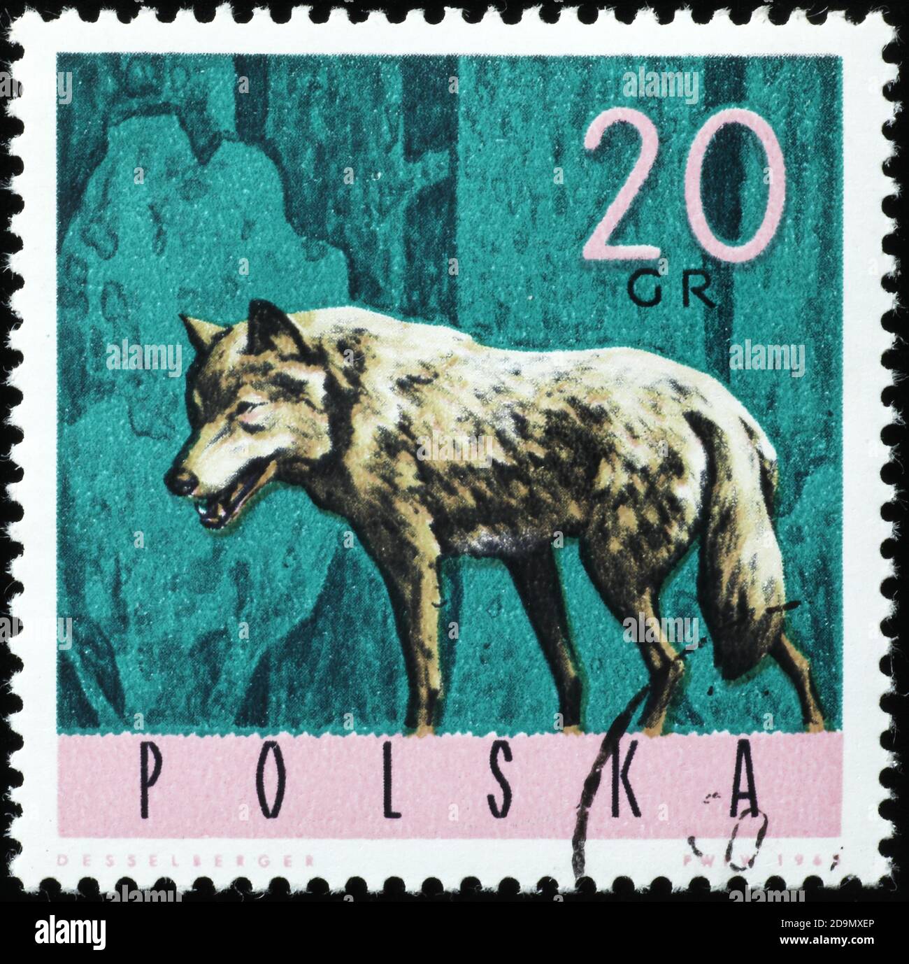 Wolf auf polnischer Briefmarke Stockfoto