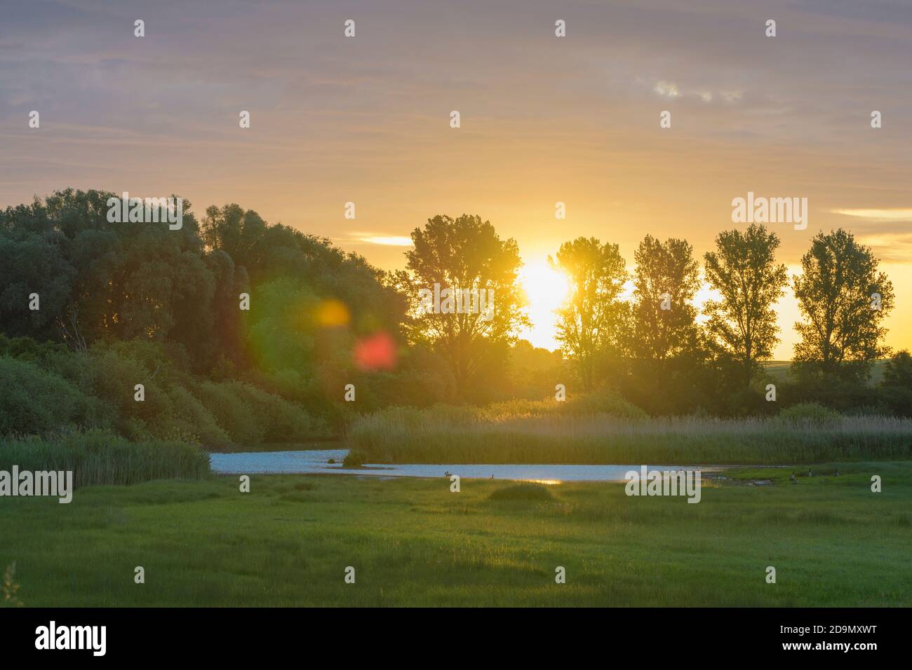 Bäume, Pappeln, See, Sonnenaufgang, Frühling, Reinheimer Teich