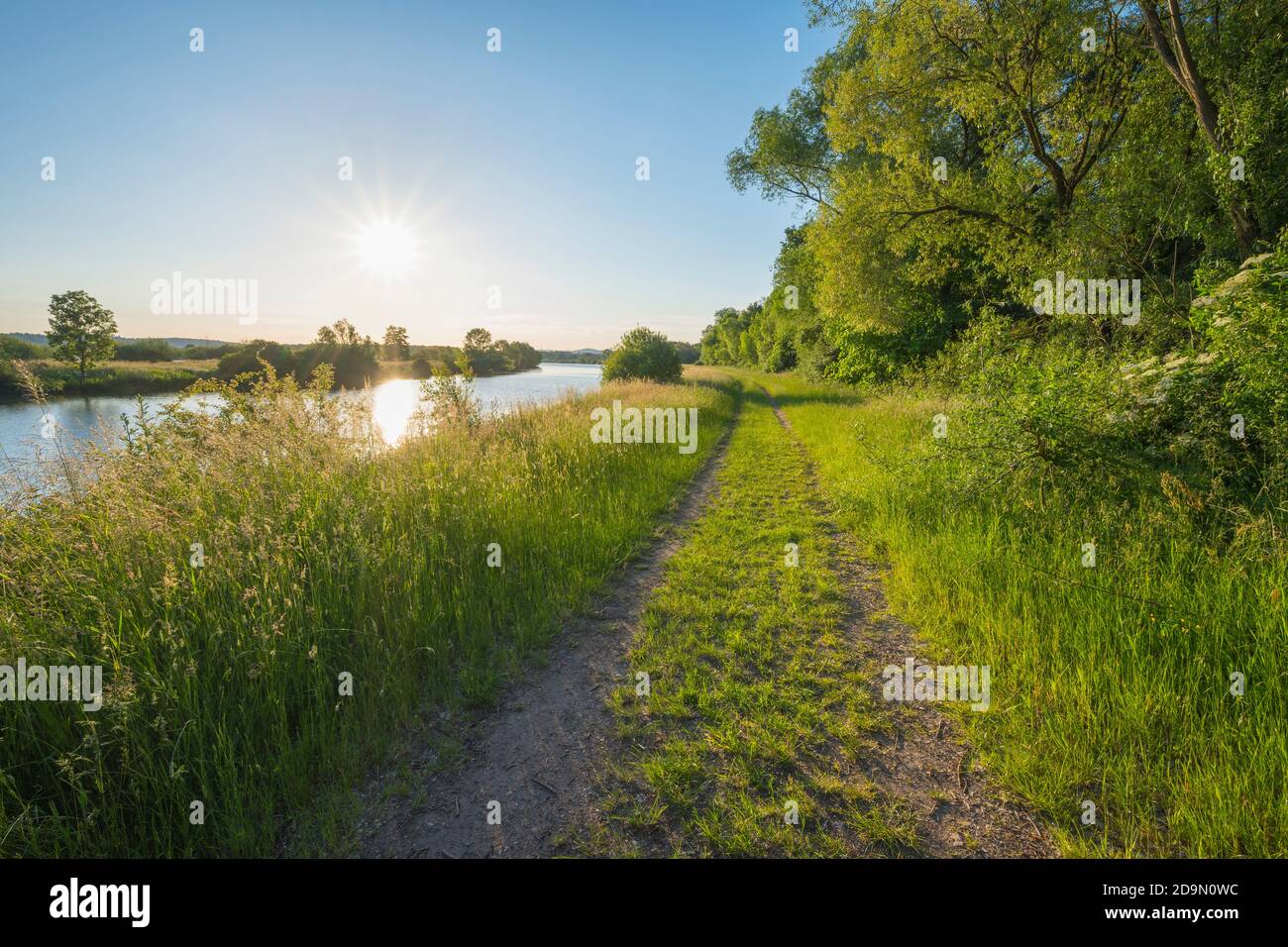 Pfad, Wald, See, Sonne, Frühling, Naturschutzgebiet, Ruhlsee, Langenselbold, Kinzigsee, Hessen, Deutschland Stockfoto