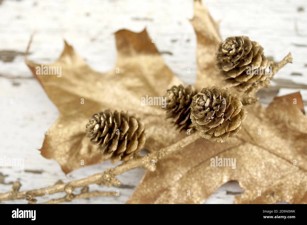 Golden Days - vergoldete Lärchenzapfen nur ZUR VERWENDUNG/E-MAIL UM ANDERE RECHTE ZU LÖSCHEN Stockfoto