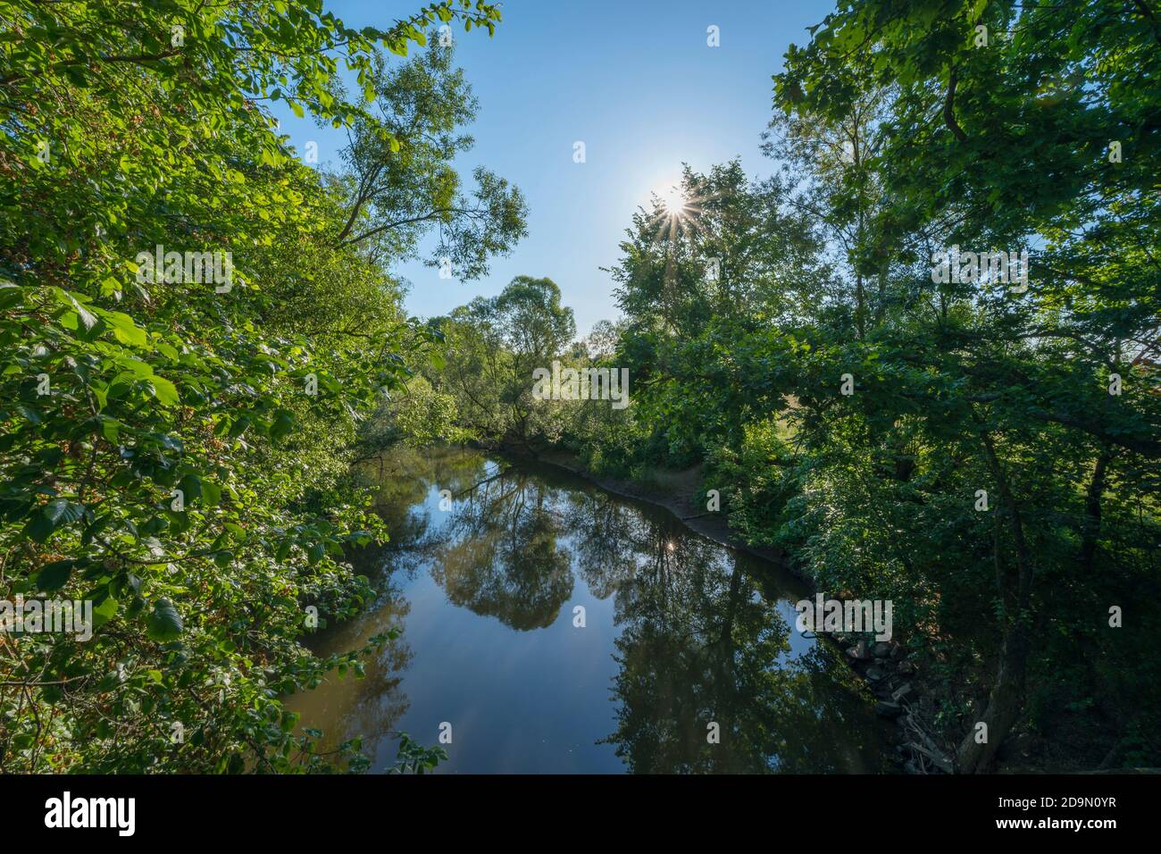 Fluss, Kinzig, Sonne, Frühling, Langenselbold, Hessen, Deutschland Stockfoto