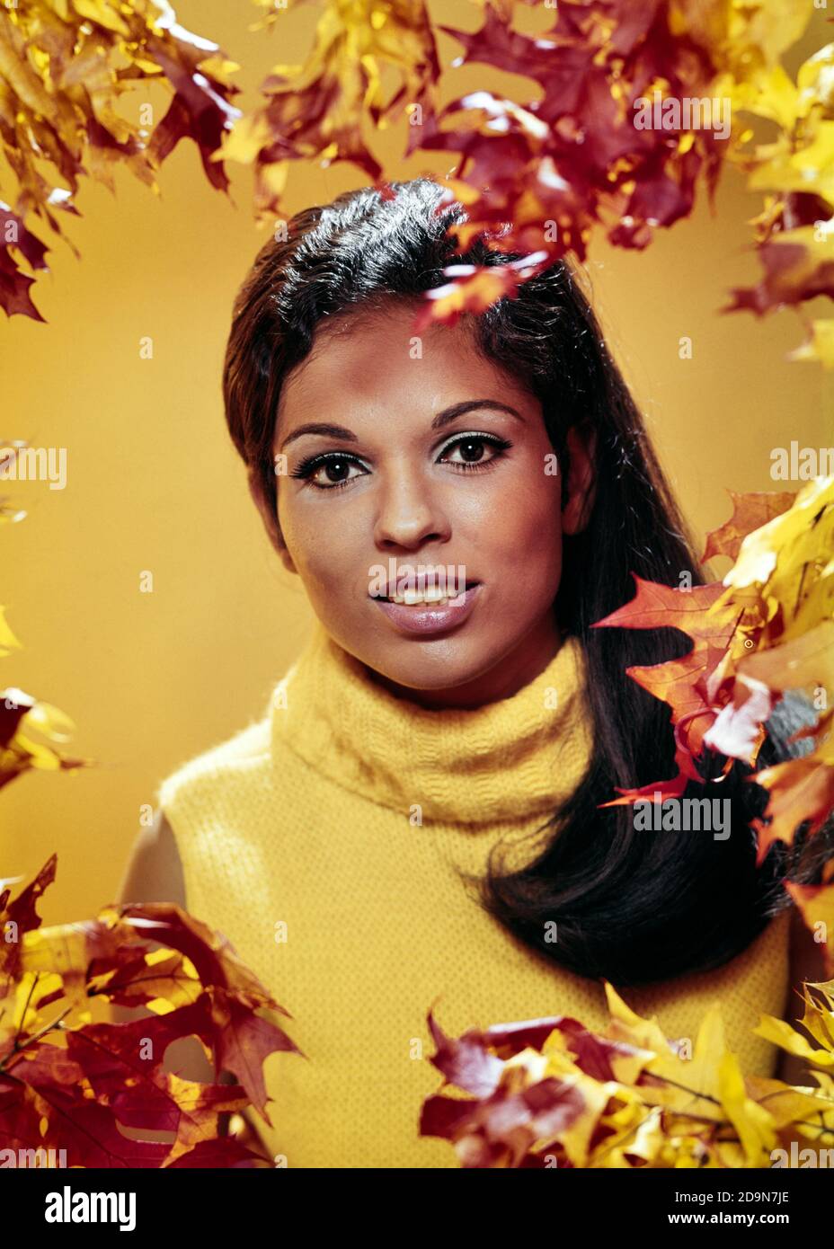 PORTRÄT DER 1960ER JAHRE AFROAMERIKANISCHE FRAU MIT LANGEN HAAREN MIT GELBEM ROLLKRAGEN PULLOVER UMRAHMT VON HERBSTBLÄTTERN BLICK AUF DIE KAMERA - KG5972 PHT001 HARS STUDIO ERSCHOSSEN NATUR KOPIEREN RAUM DAMEN PERSONEN AUGE KONTAKT PRETTY HAPPINESS KOPF UND SCHULTERN FRÖHLICHE UNIVERSITÄTEN AFROAMERIKANER AFROAMERIKANER SCHWARZE ETHNIZITÄT HERBST SAISON LÄCHELT HOCHSCHULBILDUNG VERBINDUNG GERAHMT FRÖHLICH STILVOLLE COLLEGES ATTRAKTIVE JUNGE ERWACHSENE FRAU HERBSTLICHEN HERBST LAUB ALT FASHIONED ROLLKRAGEN AFROAMERIKANER Stockfoto