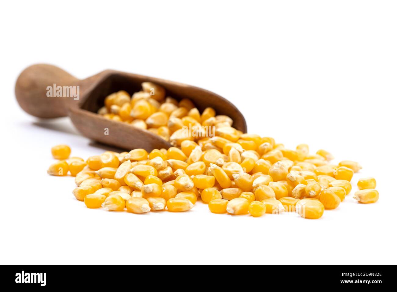 Maiskörner für Popcorn isoliert auf weißem Hintergrund. Speicherplatz kopieren Stockfoto