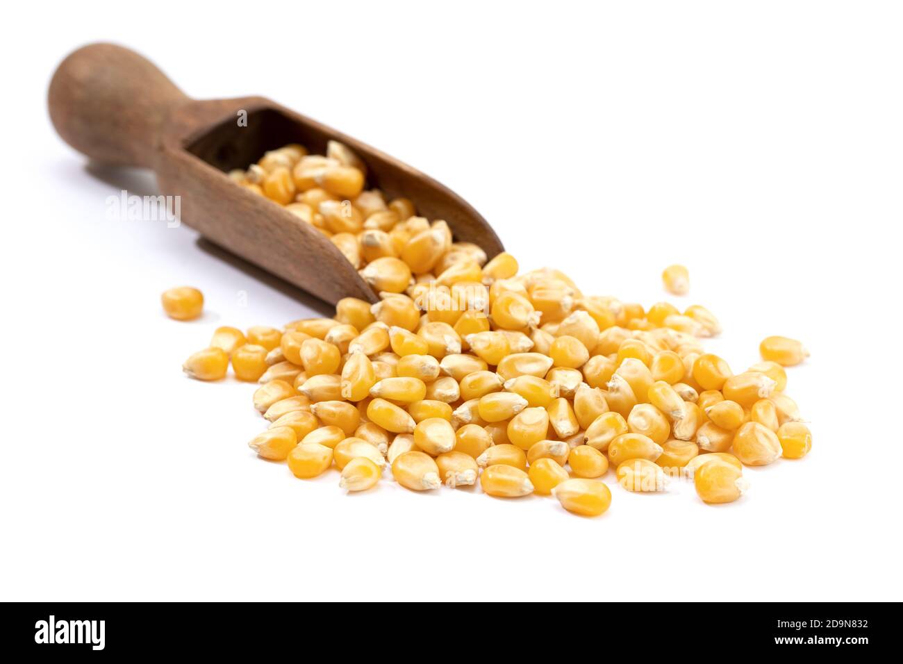 Maiskörner für Popcorn isoliert auf weißem Hintergrund. Speicherplatz kopieren Stockfoto