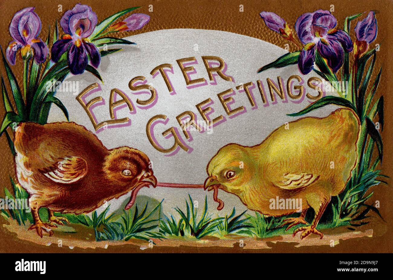 'Easter Greetings' Vintage Postkarte um 1910 von 2 Küken ziehen Ein Wurm von lila Stockfoto