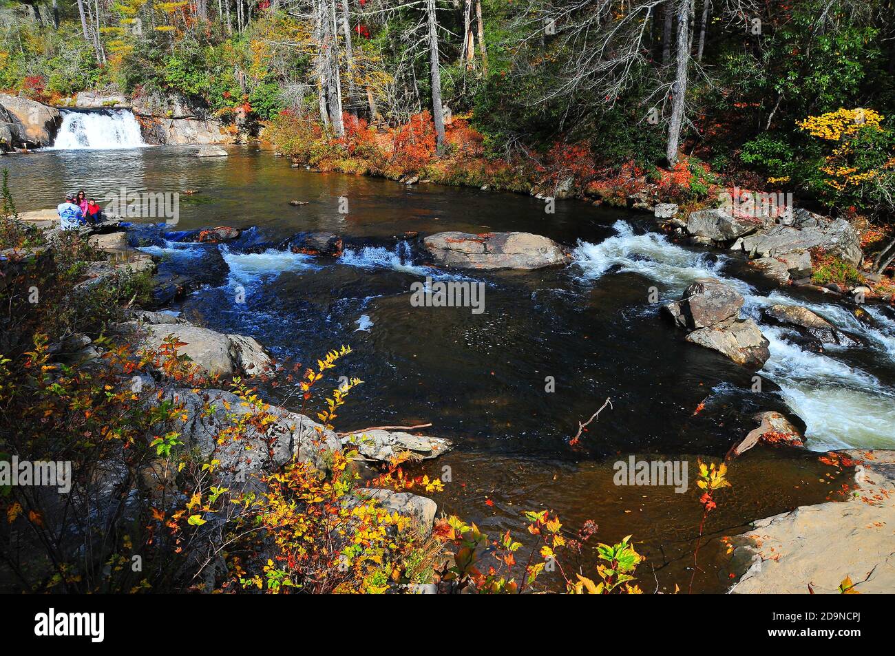 Es ist leicht, sich in die wunderschöne Landschaft der Linville Falls im wunderschönen Blue Ridge, Appalachian Mountains in North Carolina zu verlieben. Stockfoto