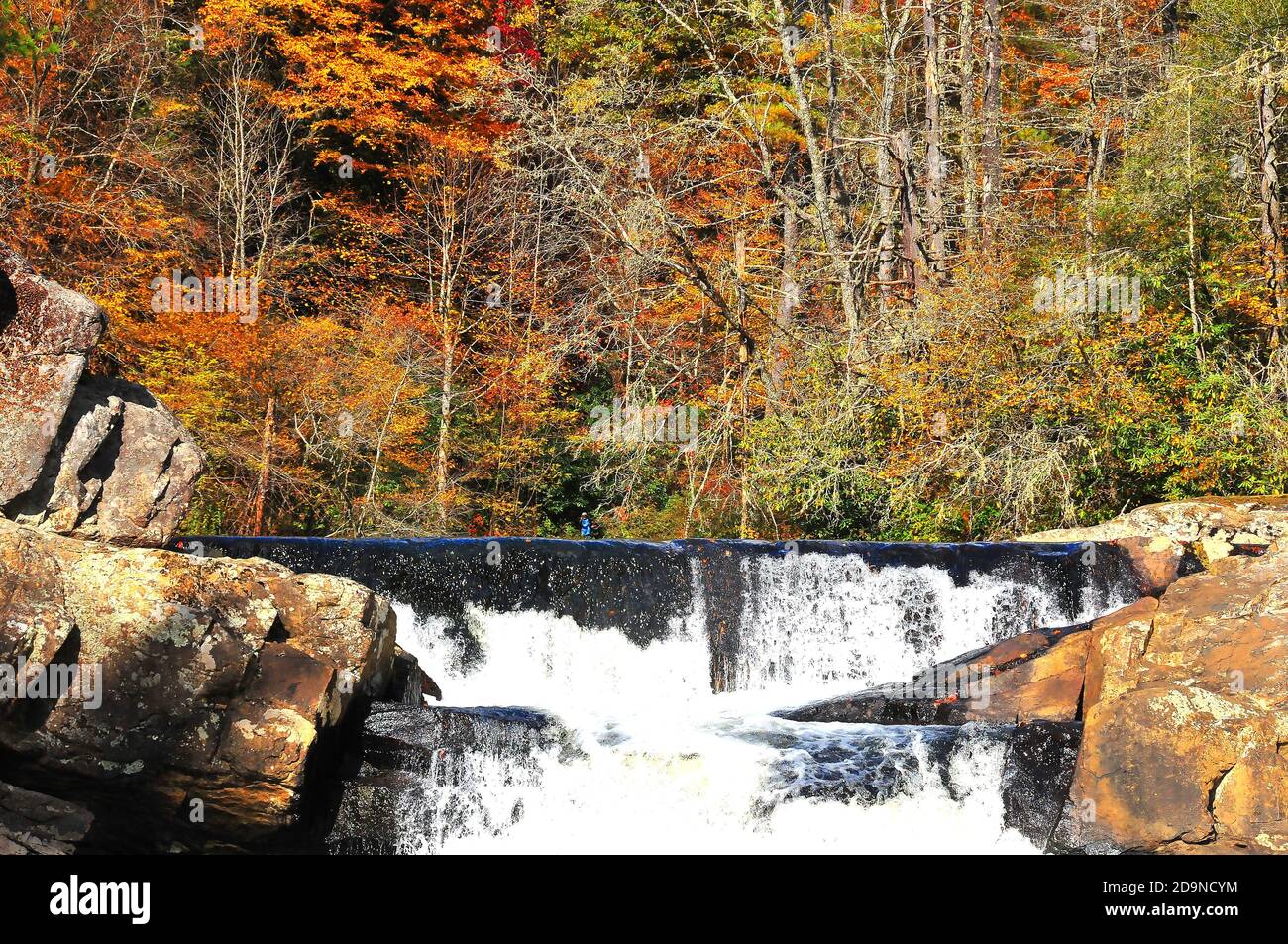 Es ist leicht, sich in die wunderschöne Landschaft der Linville Falls im wunderschönen Blue Ridge, Appalachian Mountains in North Carolina zu verlieben. Stockfoto