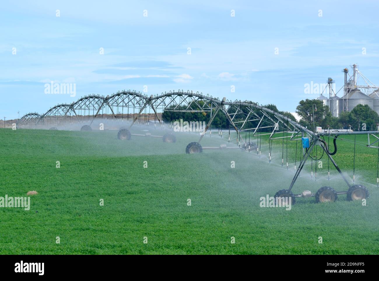 Landwirtschaftliche Bewässerung Stockfoto