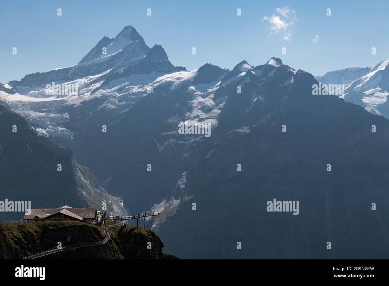 Schweiz, Kanton Bern, Berner Oberland, Grindelwald, zuerst mit Schweizer Flagge, First Cliff Walk, Schreckhorn, Lauteraarhorn Stockfoto