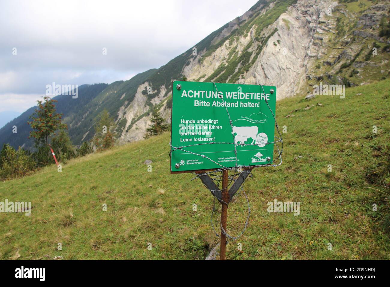 Schild 'Achtung Weidetiere' Delpsee im Karwendelgebirge in Tirol auf dem Weg zur Tölzer Hütte, über Bayern fallen Krottenbachtal Stockfoto